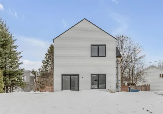 Bungalow à vendre - 38A Route de la Jacques-Cartier, Sainte-Catherine-de-la-Jacques-Cartier, G3N0W1