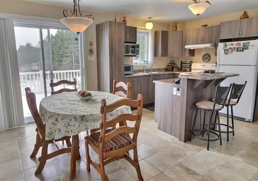 House for sale - 887 Ch. Allison, Asbestos, J0A 1L0