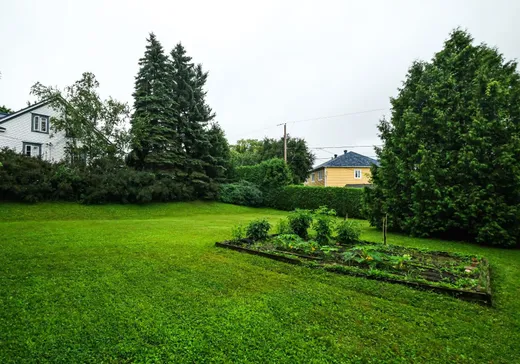 Maison à vendre - 44 Rue Plante, Mont-Saint-Hilaire, J3H 3X3