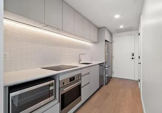 Condo à vendre - 1245 Rue De Bleury, Montréal (Centreville), H3B 0C2