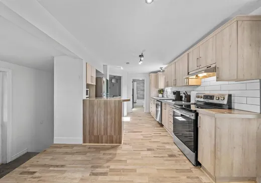 Maison à vendre - 90 Rue Jean, St-Nicephore, J2A 3J8