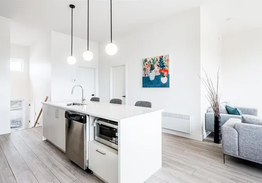 Maison à vendre - 1339 Rue Alice-Campbell, Sherbrooke, J1L 0K3