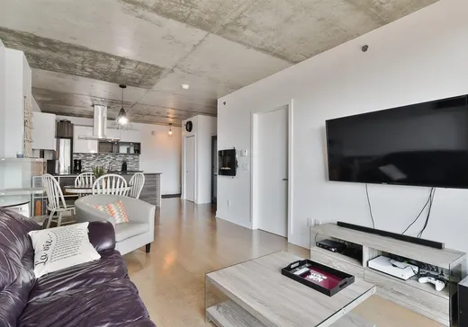 Condo for sale - 235 Rue Peel, Montreal (Downtown), H3C 0P8