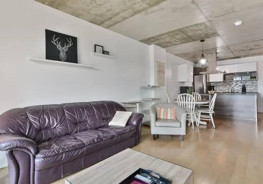 Condo for sale - 235 Rue Peel, Montreal (Downtown), H3C 0P8