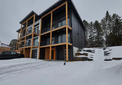 Two or more stories for sale - 538 Rue Désormeaux, St-Donat-De-Montcalm, J0T2C0