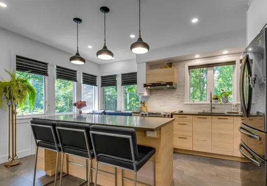 Maison à vendre - 415 Rue de Vimy, Sherbrooke, J1J 3M8