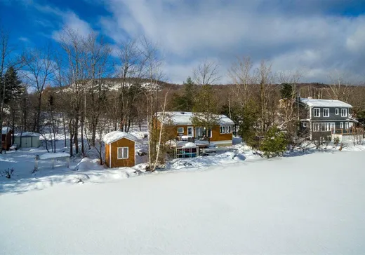 Maison à vendre - 142 Ch. de l'Étang-Sugar Loaf, Mansonville, J0E 1X0