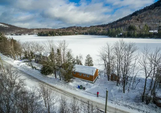 Maison à vendre - 142 Ch. de l'Étang-Sugar Loaf, Mansonville, J0E 1X0