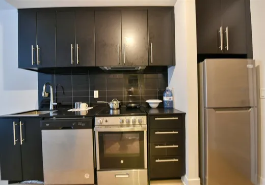 Condo à vendre - 1400 Rue Ottawa, Montréal (Centreville), H3C 0Y9