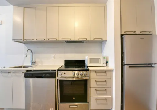 Condo à vendre - 1400 Rue Ottawa, Montréal (Centreville), H3C 0Y3