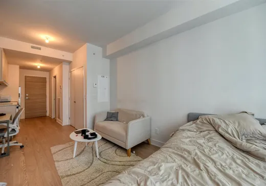 Condo à vendre - 1400 Rue Ottawa, Montréal (Centreville), H3C 0Y3