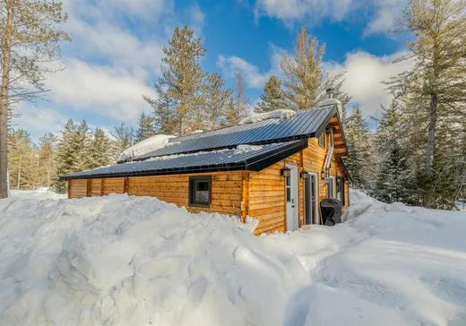 Maison à vendre - 89 Route Gélinas, Sainte-Christine-d'Auvergne, G0A 1A0