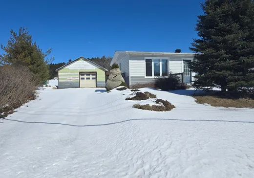 Maison à vendre - 753 Route 132 O., Causapscal, G0J 1J0