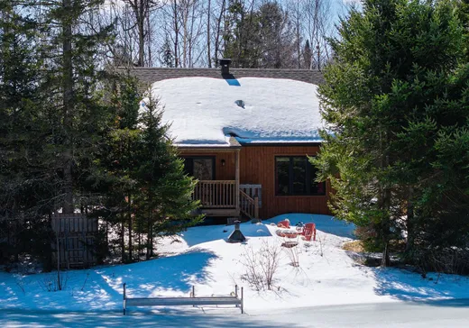 Maison à vendre - 7047Z Rue du Trappeur, Wentworth, J0T 1Y0