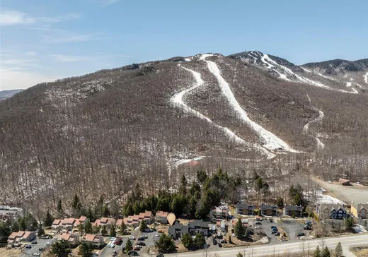 Condo à vendre - 4991 Ch. du Parc, Magog, J1X 7A2