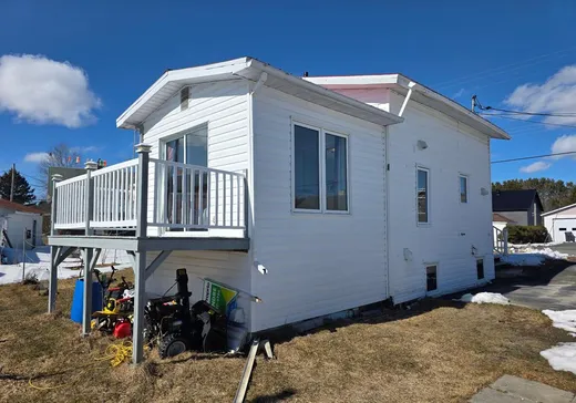 Maison à vendre - 2 Rue de la Plage, Saint-Pierre-de-Lamy, G0L 4H0