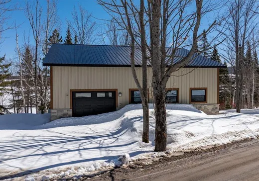 Maison à vendre - 302 Ch. des Pétunias, Saint-Hubert-de-rivière-du-loup, G0L 3L0