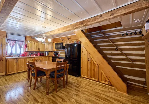 Maison à vendre - 377 Ch. Lac-Léon, St-Donat-De-Montcalm, J0T 2C0