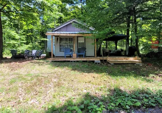 Maison à vendre - 1497 Ch. Gédéon-Perron, St-Ubalde, G0A 4L0