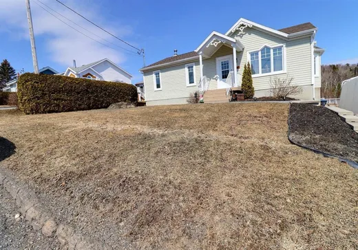 Maison à vendre - 626 Rue Monseigneur-Gagnon, Témiscouata-sur-le-Lac, G0L 1X0