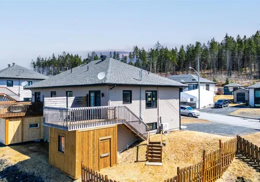 Maison à vendre - 293 37e Rue, Notre-Dame-des-Pins, G0M 1K0