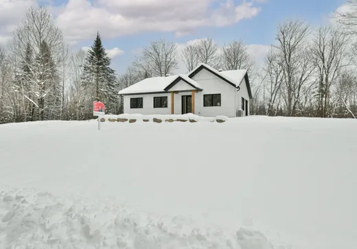 Maison à vendre - 55 Rue du Haut-Mont, Sainte-Marguerite-du-Lac-Masson, J0T 1L0