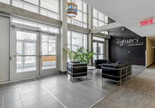 Condo à vendre - 8635 Rue Lajeunesse, Montréal (Villeray), H2P 0B5