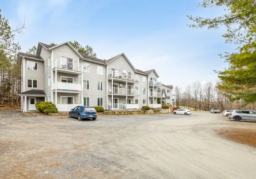 Condo à vendre - 53 Rue Maple, Sutton, J0E2K0