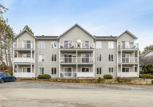 Condo à vendre - 53 Rue Maple, Sutton, J0E 2K0