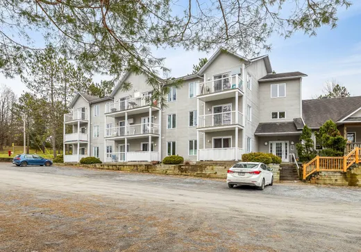 Condo à vendre - 53 Rue Maple, Sutton, J0E 2K0