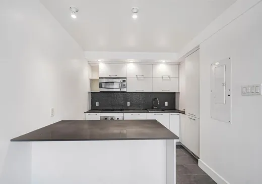Condo à vendre - 1390 Rue du Fort, Montréal (Centreville), H3H 2R7