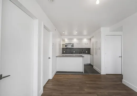 Condo à vendre - 1390 Rue du Fort, Montréal (Centreville), H3H 2R7