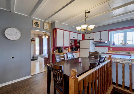 Maison à vendre - 321 Rue Ritchie, St-Donat-De-Montcalm, J0T 2C0