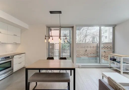 Condo à vendre - 4010 Rue Dorion, Montréal (Plateau-Mont-Royal), H2K 1A4