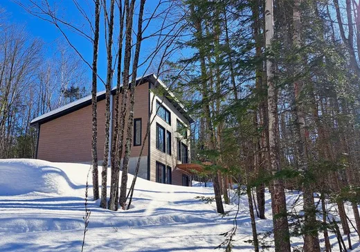 House for sale - 127 Ch. de l'Inukshuk, St-Remi-D'Amherst, J0T 2L0