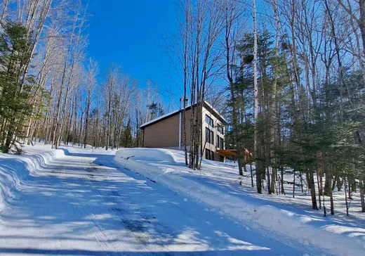House for sale - 127 Ch. de l'Inukshuk, St-Remi-D'Amherst, J0T 2L0