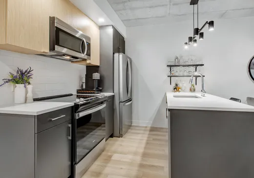 Condo à vendre - 1431 Av. de la Gare, Mascouche, J7K 3C7
