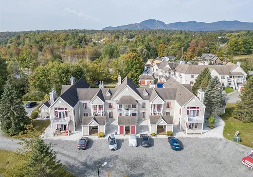 Condo à vendre - 14 Rue de la Sarcelle, Magog, J1X 6Z8