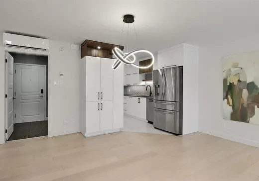 Condo for sale - 50 Rue St-Zéphirin, Victoriaville, G6P 9P9