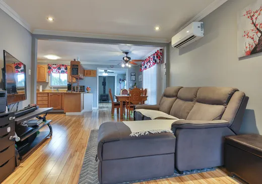 Maison à vendre - 91 Rue Beaver, Saint-Georges-de-Clarenceville, J0J 1B0
