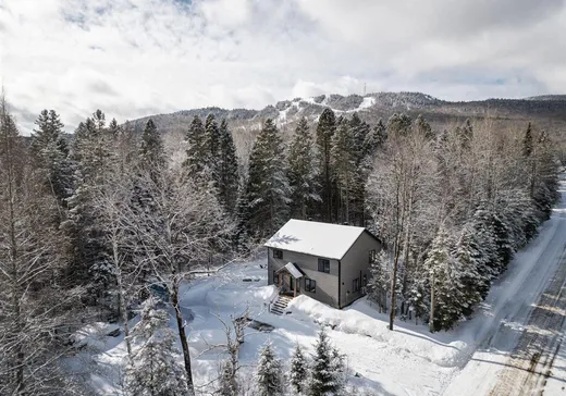 Two or more stories for sale - 11 Ch. Joseph-Hubert, St-Donat-De-Montcalm, J0T2C0