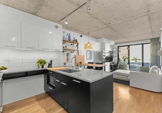 Condo for sale - 1000 Rue Ottawa, Montreal (Downtown), H3C 0P3