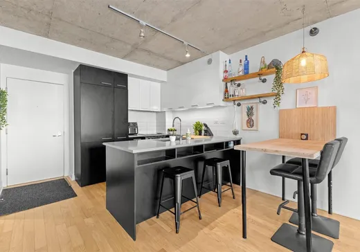 Condo for sale - 1000 Rue Ottawa, Montreal (Downtown), H3C 0P3