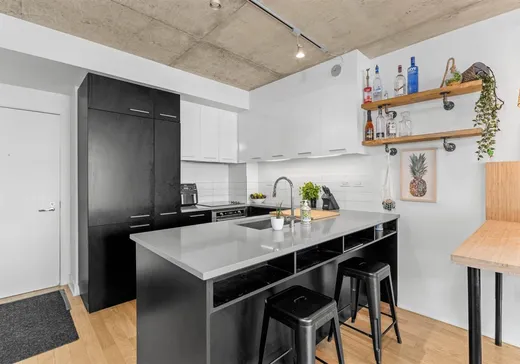 Condo for sale - 1000 Rue Ottawa, Montreal (Downtown), H3C 0P3