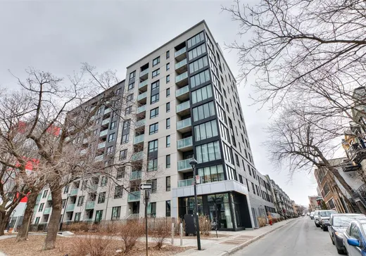 Condo for sale - 1170 Rue Montcalm, Montreal (Ville-Marie), H2L0M2