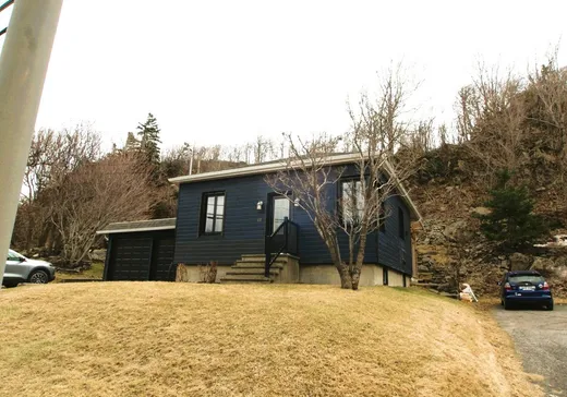 Two or more stories for sale - 137 Route Marie-Victorin, Lévis, G7A2T3