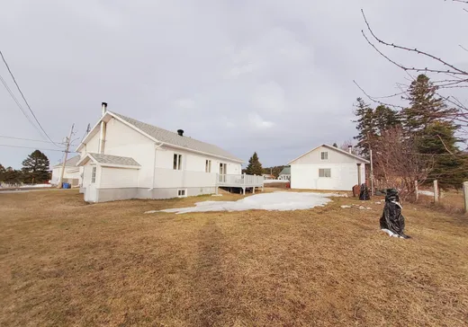 House for sale - 113 Rue Pelletier, Les Mechins, G0J 1T0