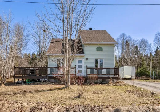 Maison à étages à vendre - 65 Rue des Cigales, St-Ferreol-les-Neiges, G0A3R0