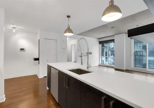 Condo à vendre - 377 Rue des Seigneurs, Montréal (Ville-Marie), H3J 0A9
