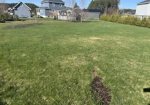Maison à vendre - 648 Rue des Cyprès, Ste-Eulalie, G0Z 1E0
